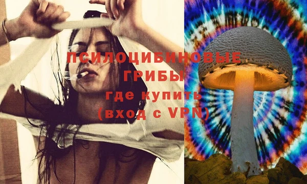 дживик Алзамай
