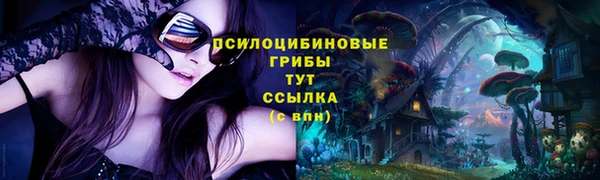 дживик Алзамай